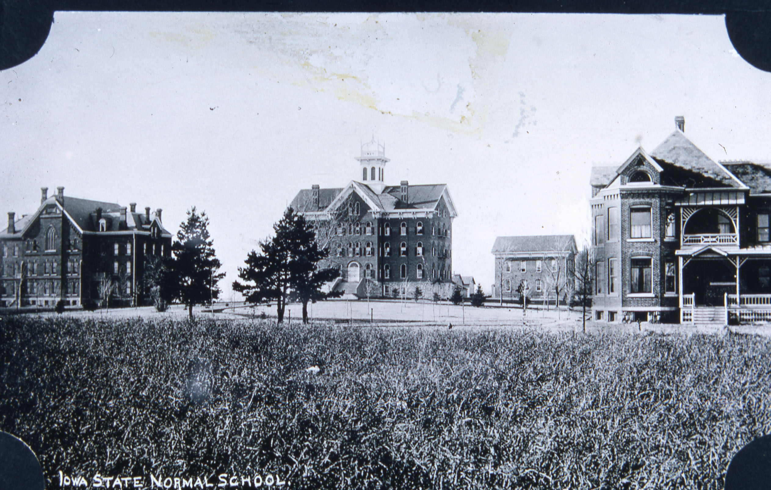 Four buildings shot from a distance, long grass in foreground and shorter lawn around buildings