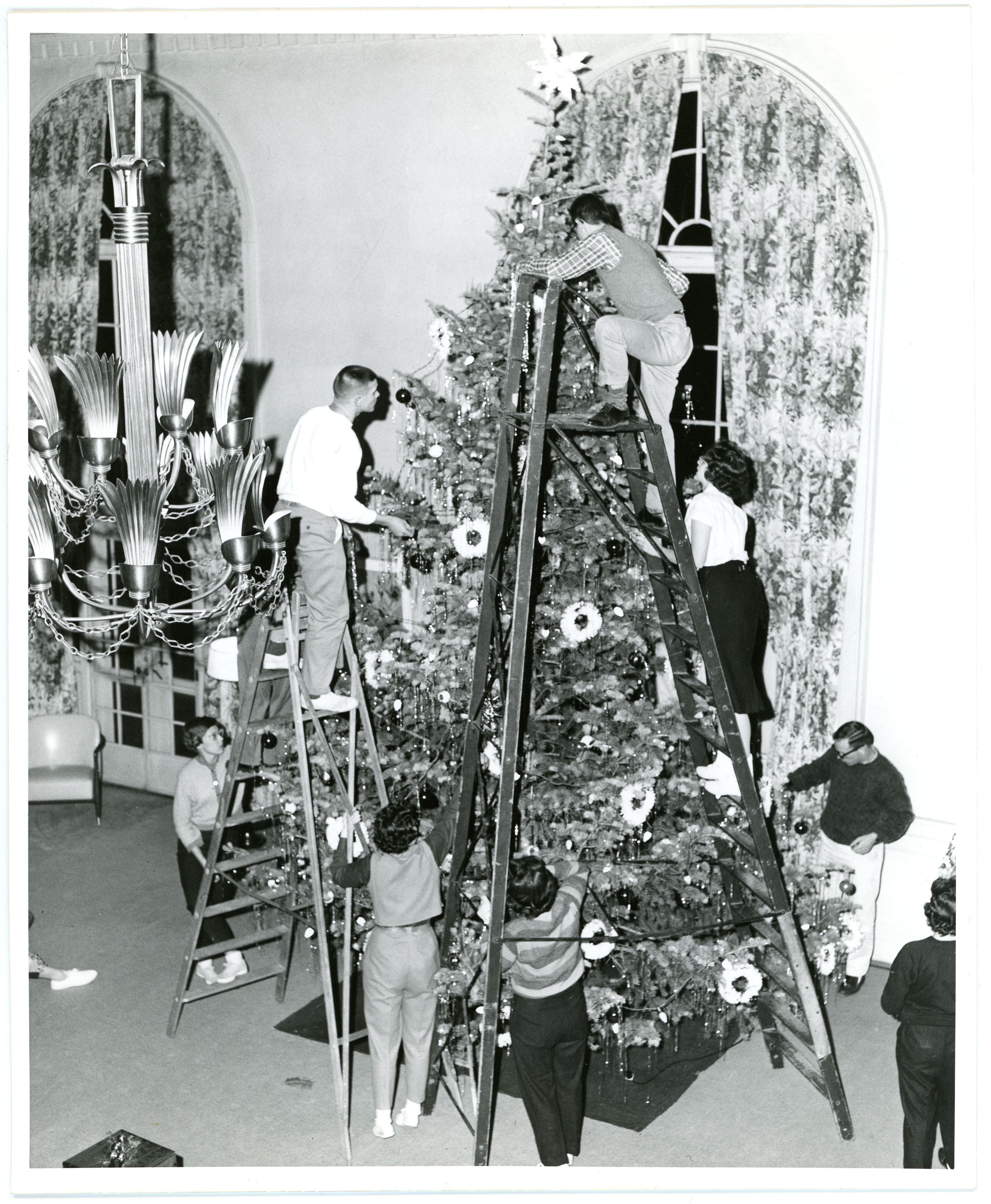 Seven women and men using two ladders to decorate a large Christmas tree
