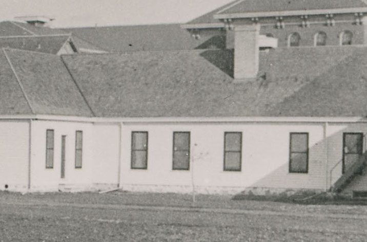 Close-up view of the photo above; note the oak sapling.
