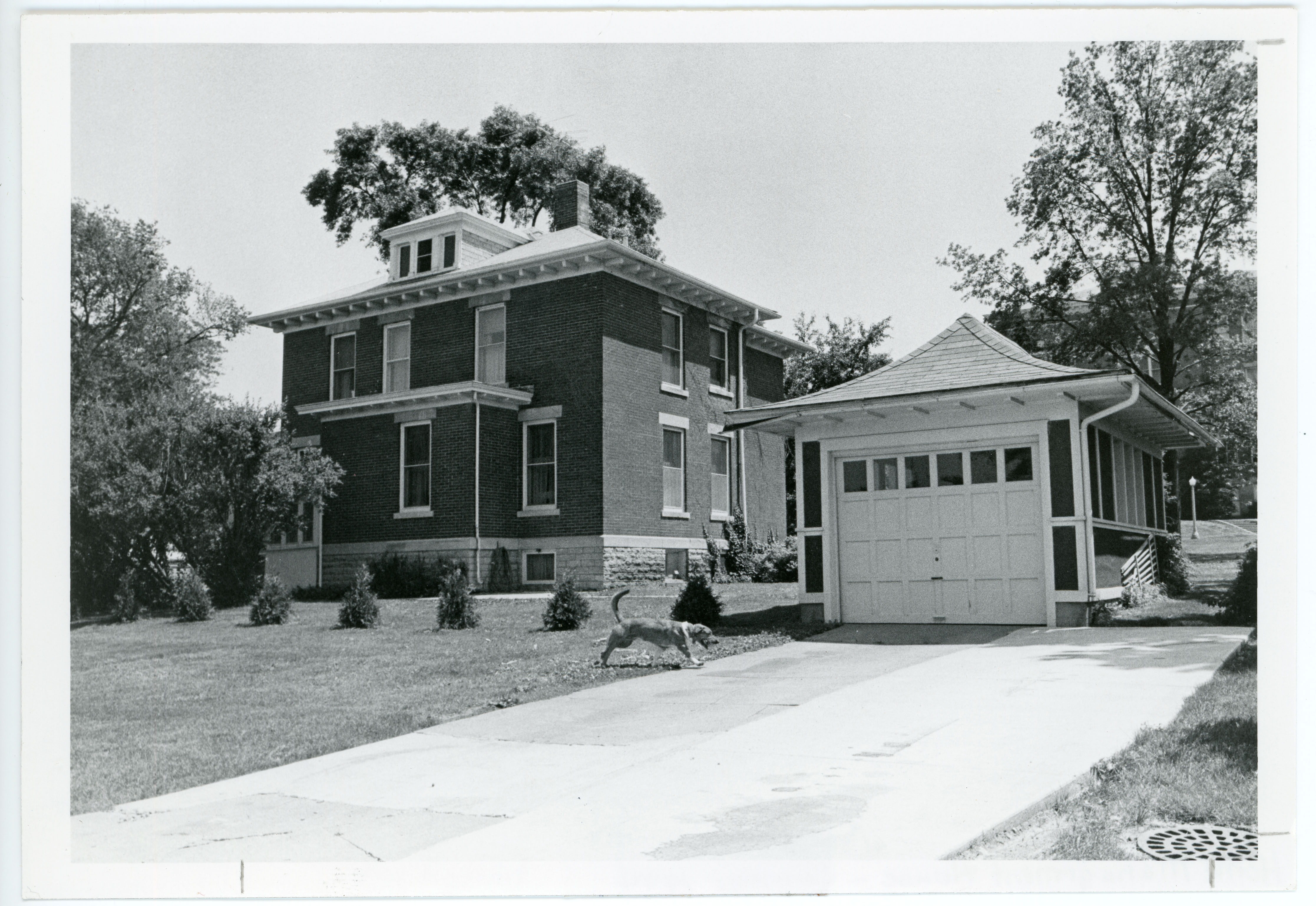 Home management house with garage and dog