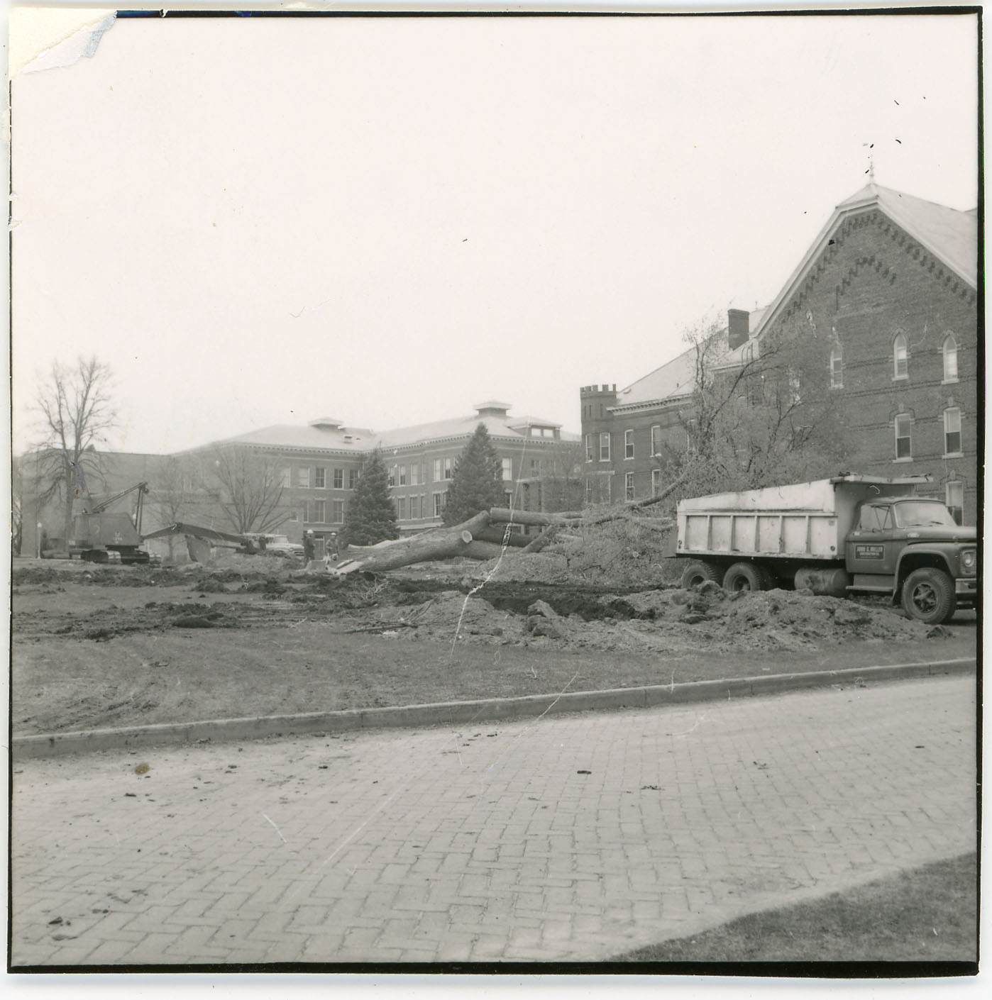 A truck hauling chopped trees from the Circle