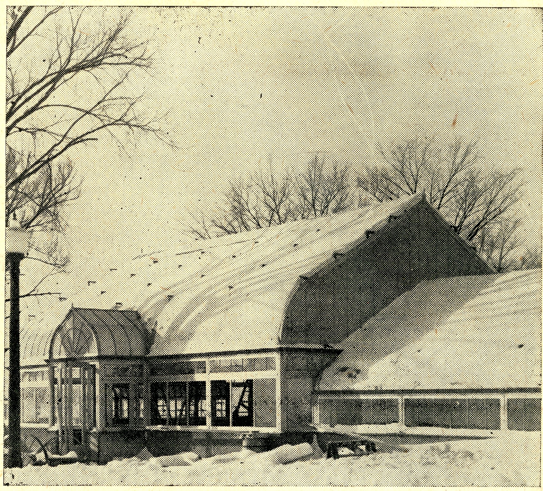 New Greenhouse shortly after completion