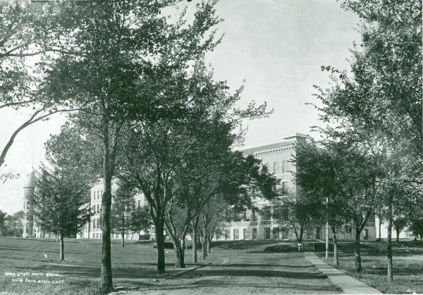 Shaded campus pathway leading to Lang hall in the 1900s