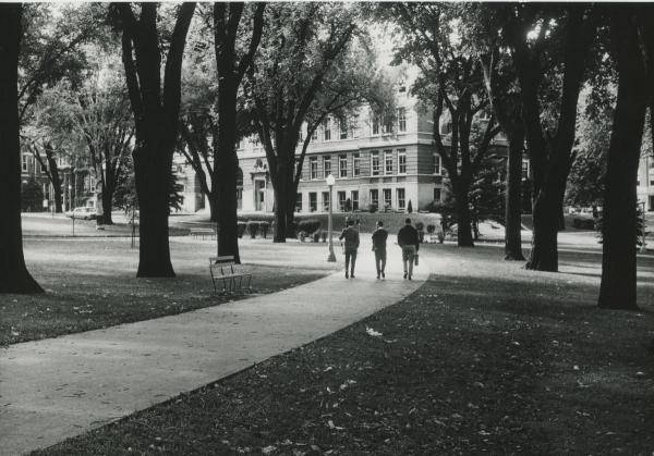 Shaded campus pathway leading to Lang Hall in the 1960s