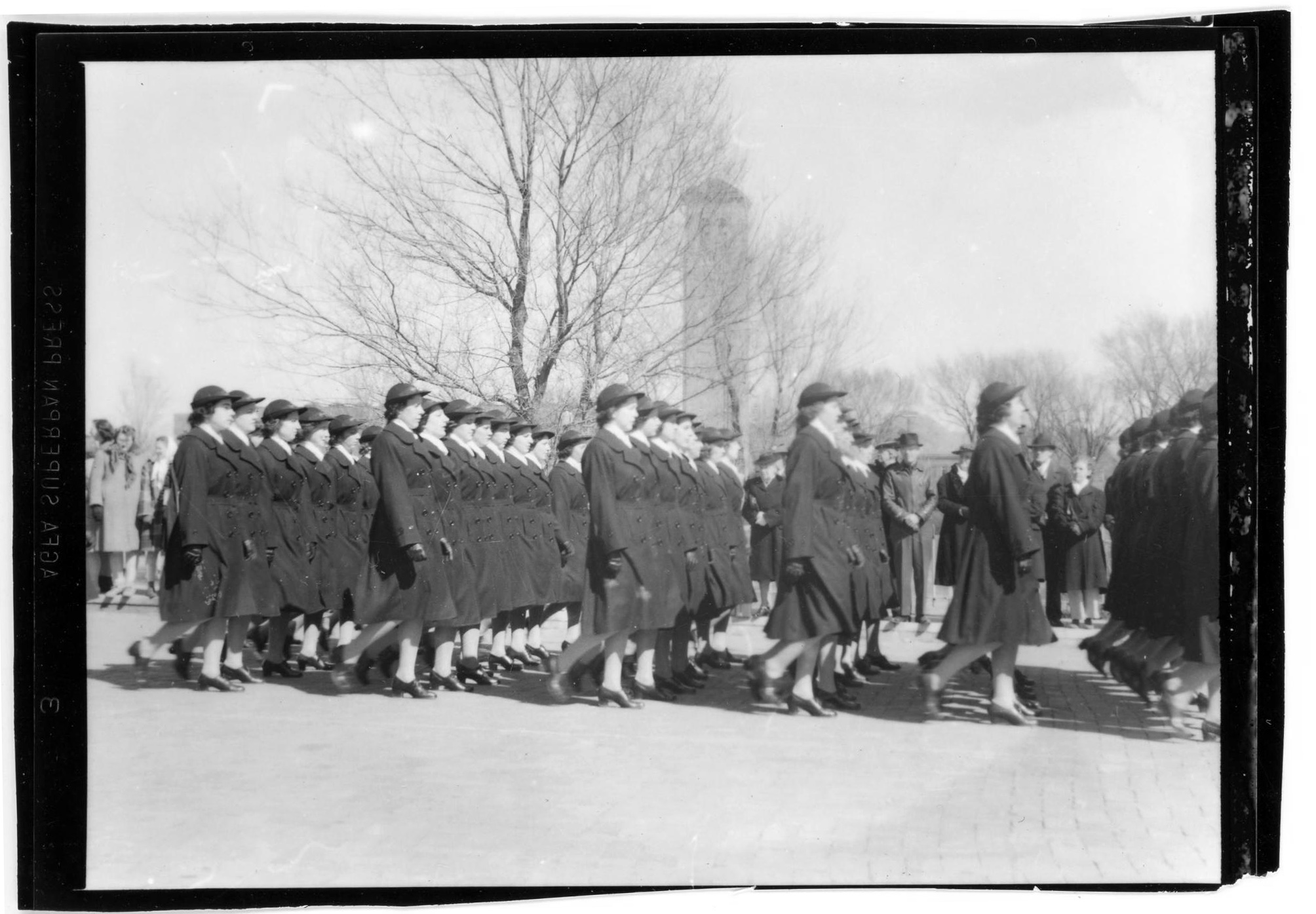 Navy WAVES on parade