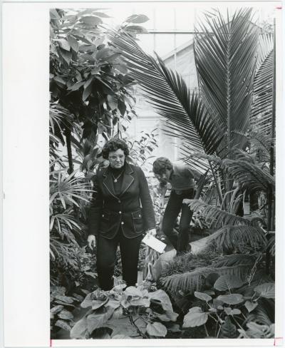 Photo of woman and man walking through UNI Greenhouse