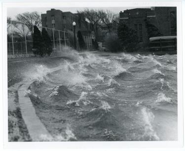 The surface of Prexy's Pond with rough waves because of heavy winds