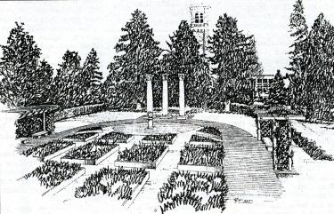 Sketch of the Millenium Garden plan