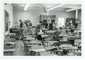 Students working in a science class