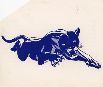 John Shannon's Panther