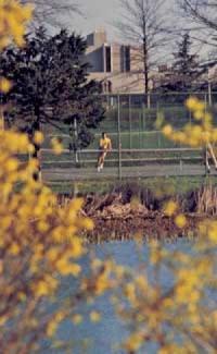 Photograph of two individuals playing tennis, taken from across Prexy's Pond