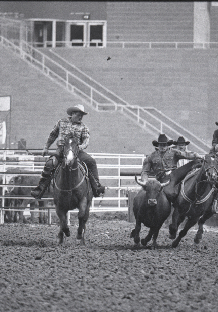 Two cowboys on horses, one roping a calf, with observers behind them in the UNI-Dome