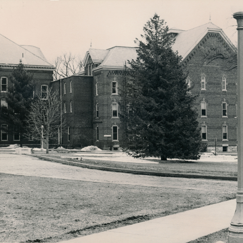 Two brick buildings with sidewalks and gravel road with small piles of snow in front