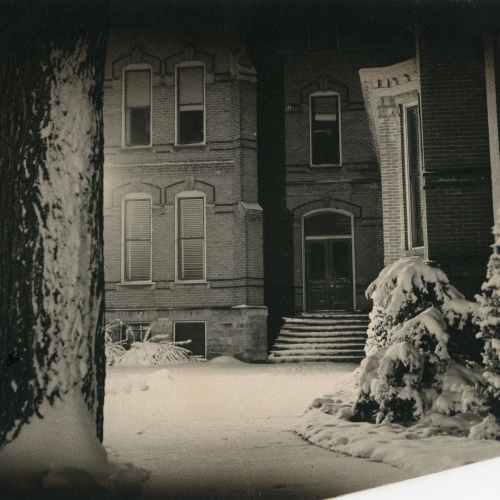 Snow on the ground, bushes, and trees outside a brick building