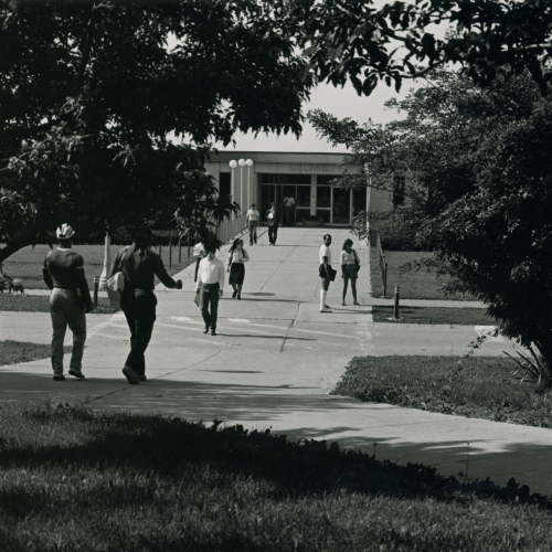 Framed by trees, people on sidewalk leading to building with word Gilchrist over doors