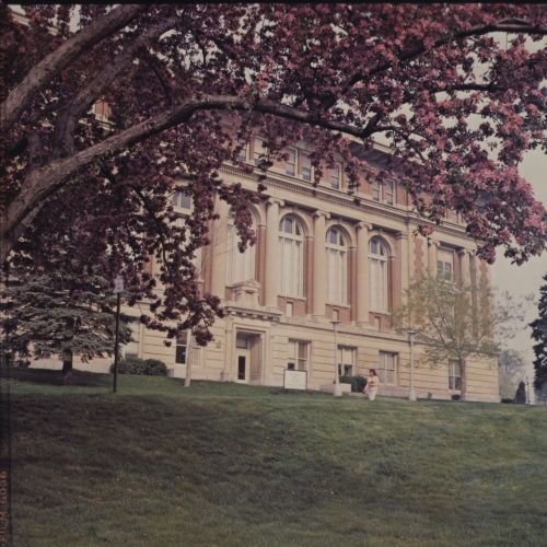 Framed by pink blossoms of a tree, front of a red brick and limestone building with arched windows and pillars