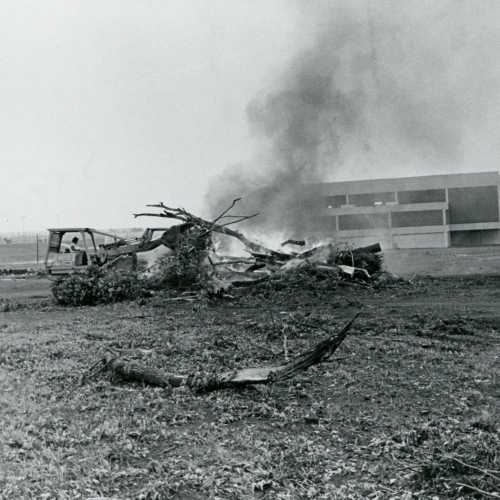 Bulldozer pushing logs onto burning pile