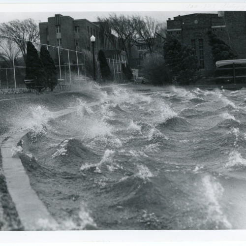 Turbulent waves on a windy day on Prexy's Pond