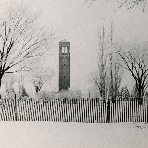 Campanile surrounded by snowy ground and trees
