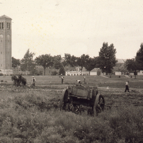 Men working horses in a field with Campus buildings in background