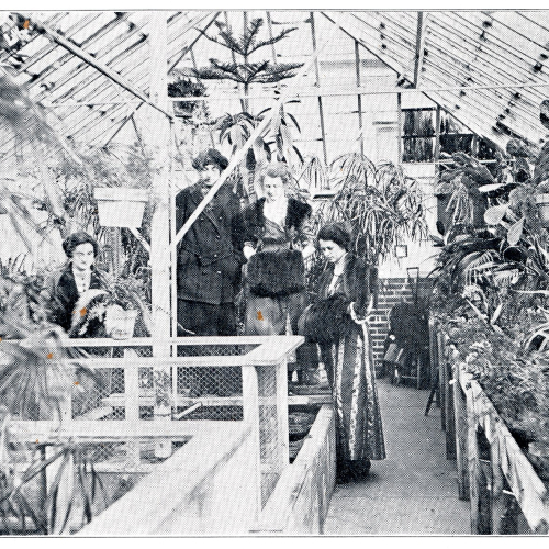 Students enjoying plant life in the Greenhouse