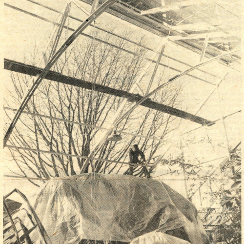 Greenhouse during renovations